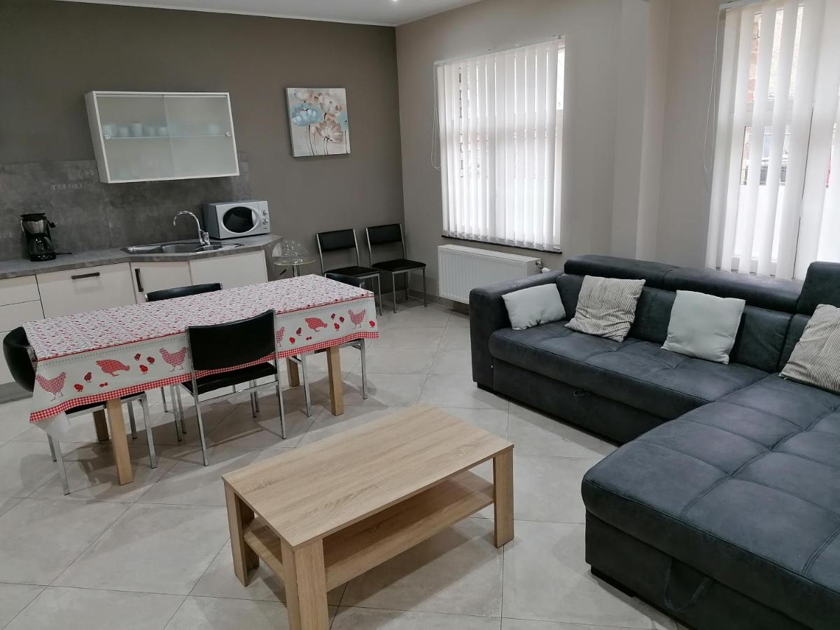 Maison Au Calme A 300M De La Plage De Panne Zewnętrze zdjęcie